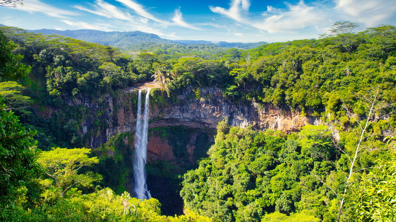 Aerial view of a waterfall, forest, and canyon