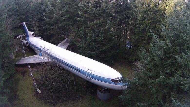 Airplane Home forest Hillsboro Oregon