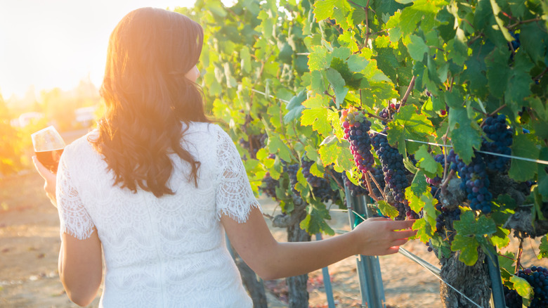 Woman enjoying wine in a vineyard