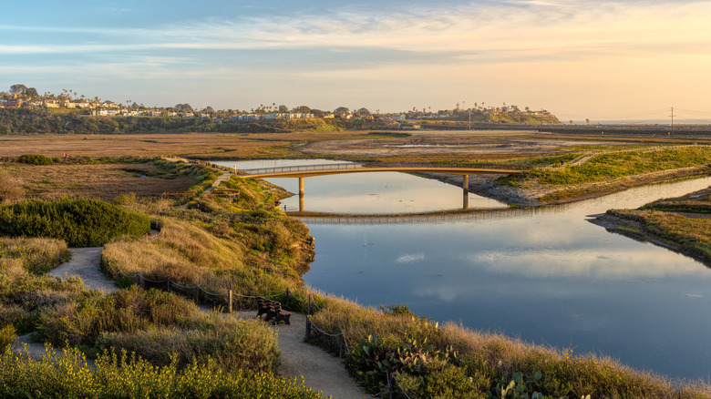 San Elijo Lagoon Ecological Reserve