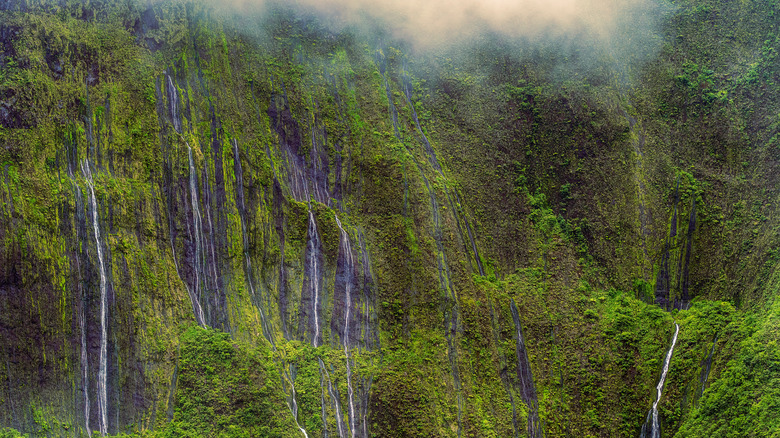 Weeping Wall waterfalls in Kauai