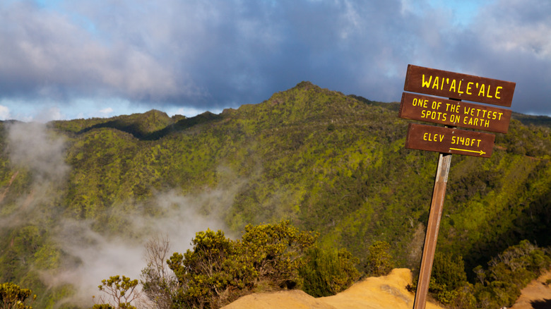 Location signage overlooking Mount Wai'ale'ale