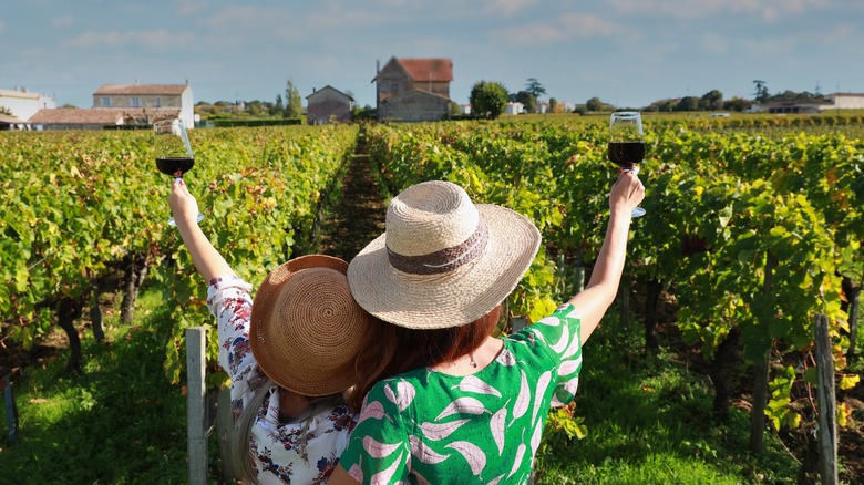Two travelers toasting in vineyard