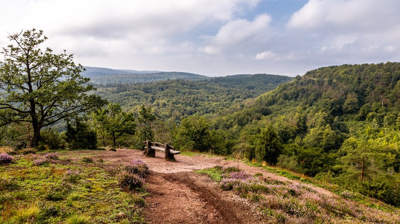 Views of Dragon Gorge in the Thuringian Forest, Germany