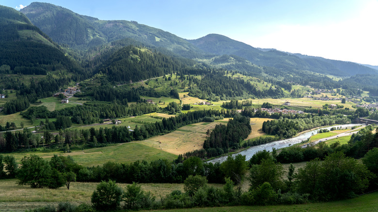 green rolling hills in Italy