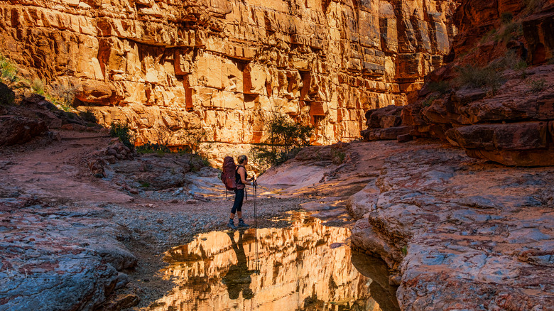 Hiker inside Grand Canyon