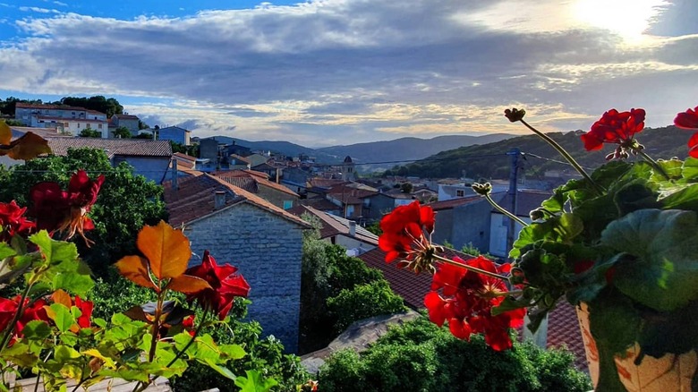 Flowerpots and hillside village in Italy