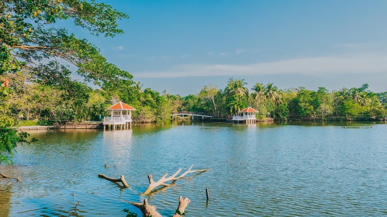 Lake at Sri Nakhon Khuean Khan Park and Botanical Garden