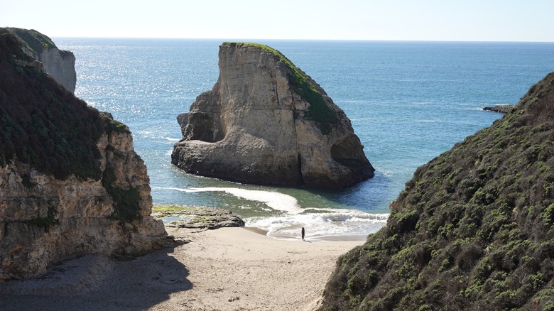 Shark Fin Cove Davenport California