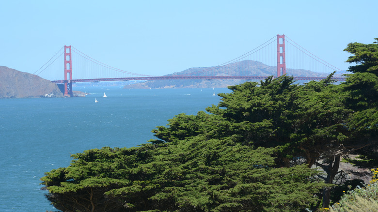 View of Golden Gate Bridge