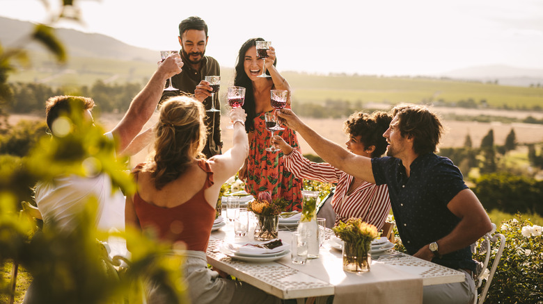 Friends toasting wine in vineyard