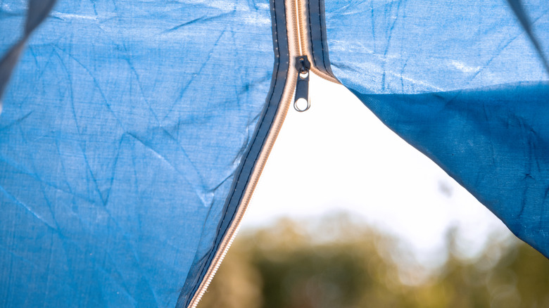 Zipper opens to wilderness