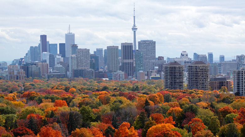 Toronto skyline in the fall