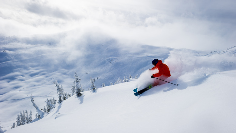 skiier shredding through powdery snow