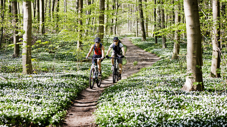 Couple mountain biking