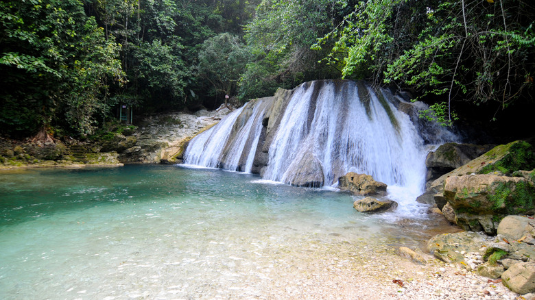 waterfall in Reach Falls