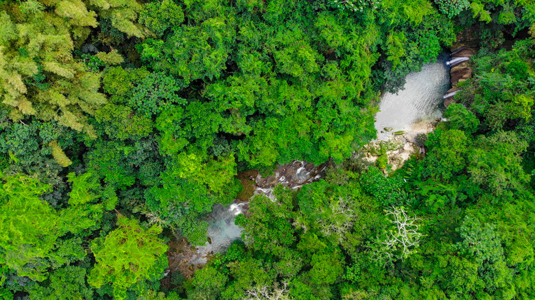 Aerial view of Reach Falls