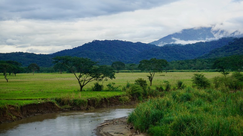 carara national park