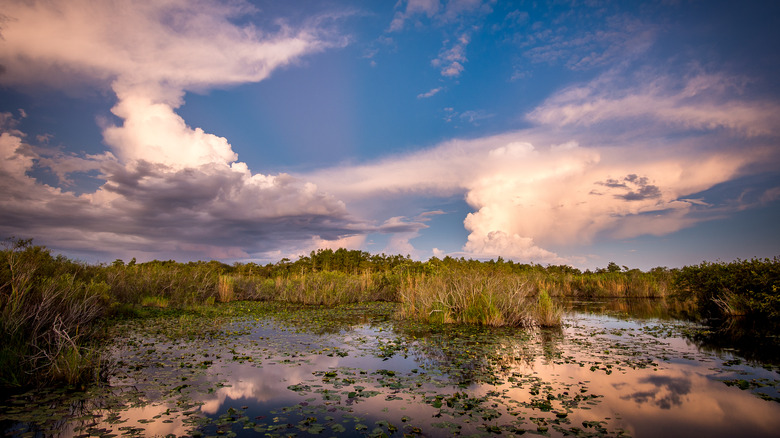 Sunset at Everglades