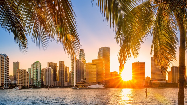 Miami, Florida skyline at sunrise