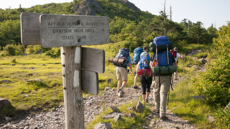 Hikers on the Appalachian Trail
