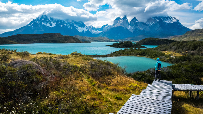 hiker in torres del paine