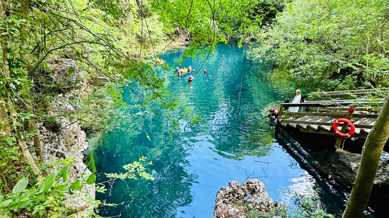 trees surrounding blue water with staircase