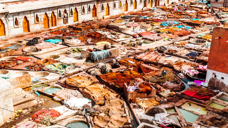 Marrakech tannery Morocco
