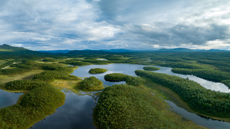 Blue lakes and forests in Harjedalen, Sweden