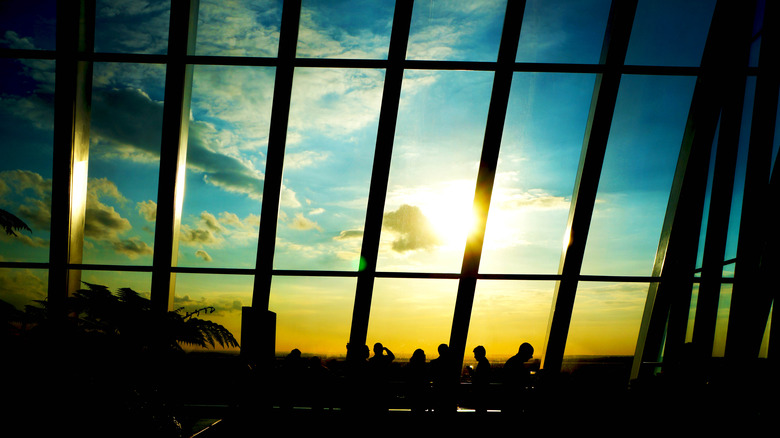 Sunset view, London Sky Garden