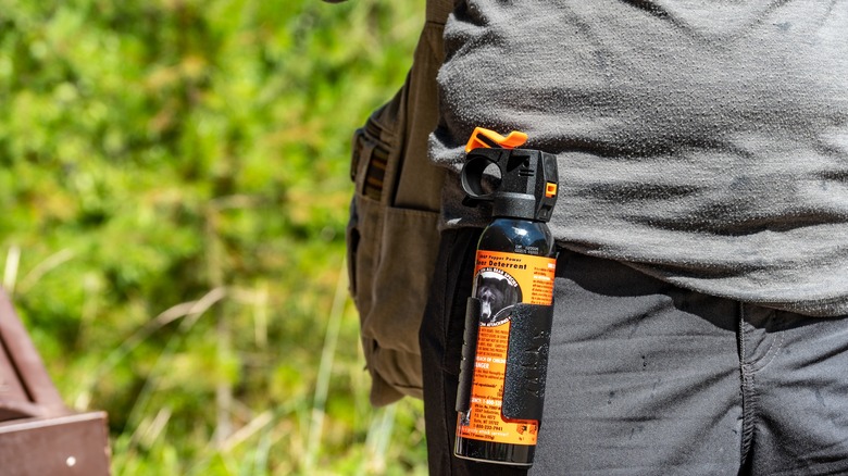 Hiker carries bear spray
