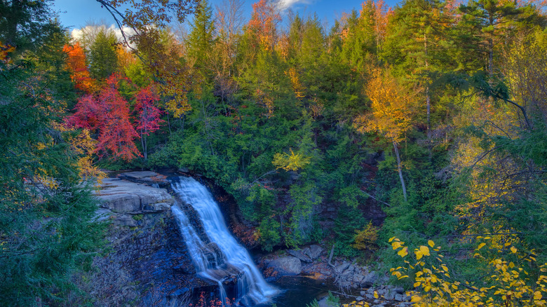 Autumn at Muddy Creek Falls