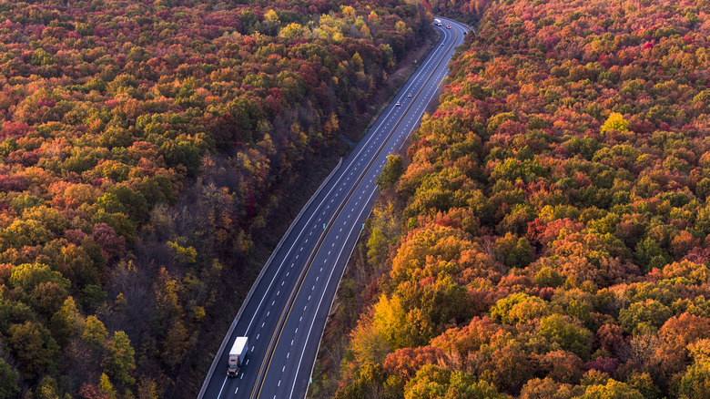 fall foliage in Poconos