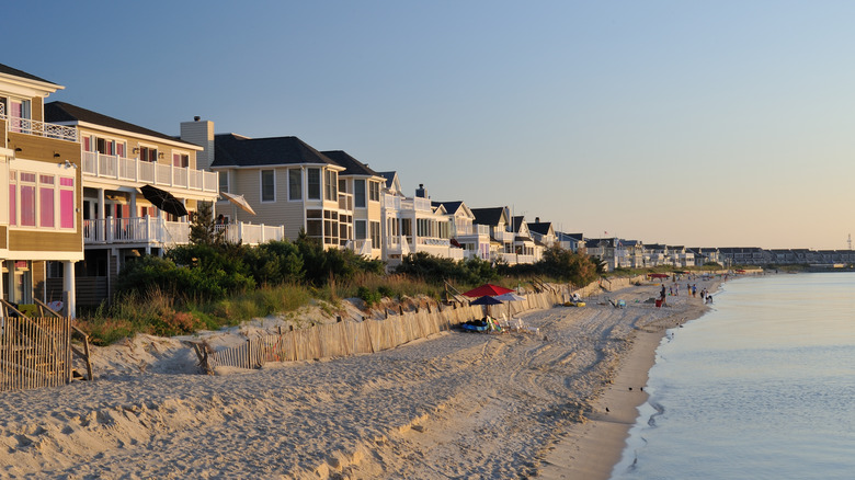 Beachfront at Cape Henlopen Park