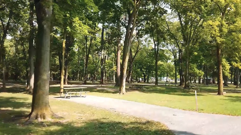 Trees and picnic tables at campground