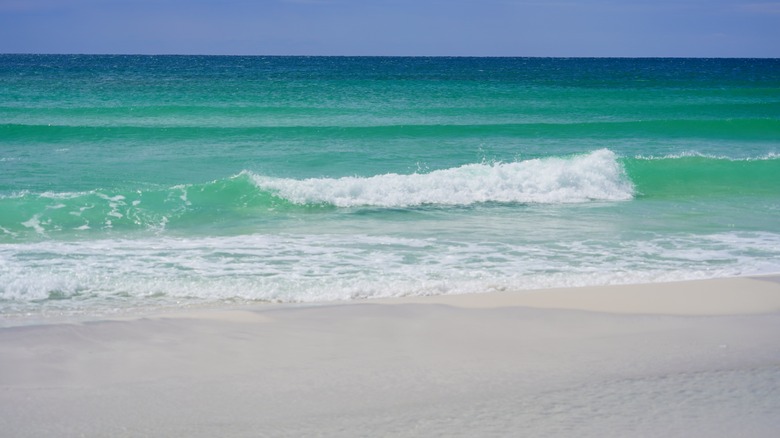 green wave and white sand