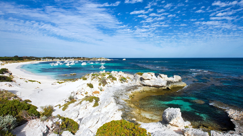 Rottnest Island, Australia