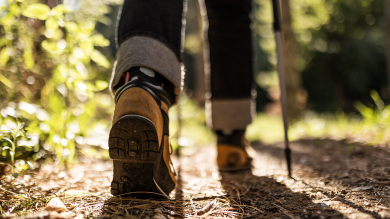 Close-up of hiking shoes on a trail
