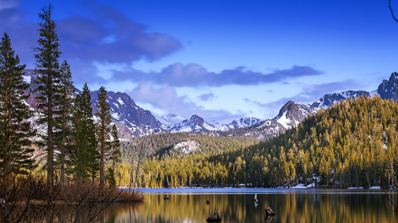 lake at Mammoth Lakes, CA