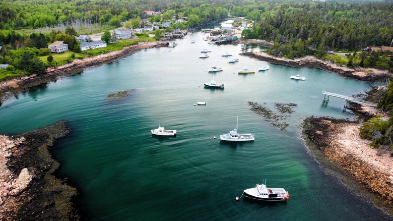 boats on water