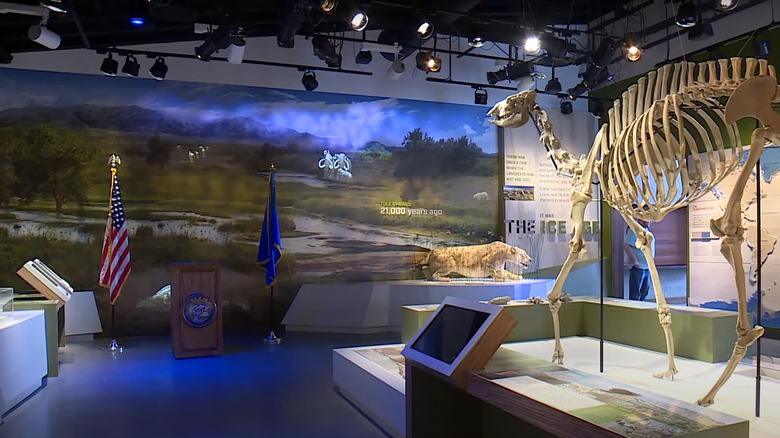 Prehistoric displays in visitor center