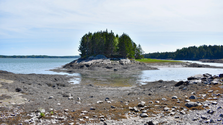 low tide at Cobscook Bay