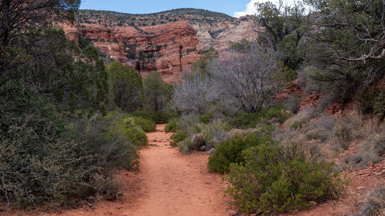 trail through red rock canyon