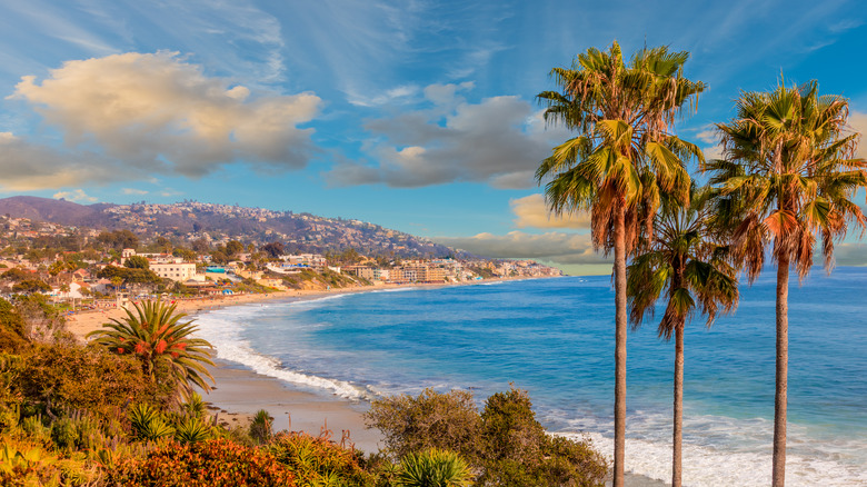 South Laguna Beach coastline with palms