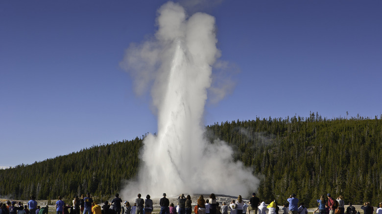 Large crowds at Old Faithful