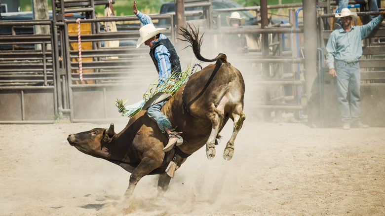 Man bull riding at rodeo