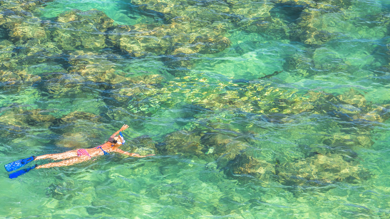 Snorkeler in Hanauma Bay, Oahu