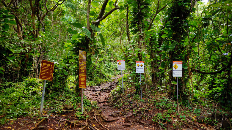 hiking signs in Kauaʻi jungle