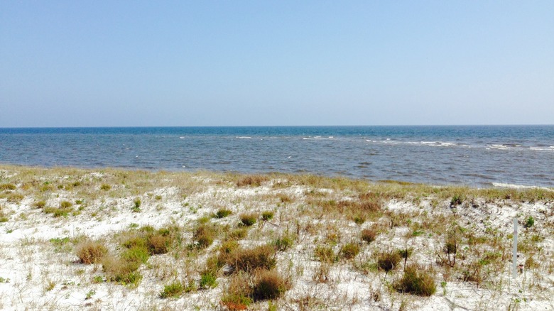 Ocean at Alligator Point in Florida