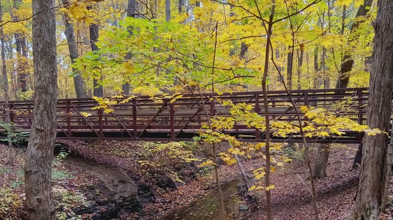 bridge over creek at French Creek Reservation